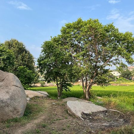 Sunrise Guest House & Restaurant Hampi Buitenkant foto
