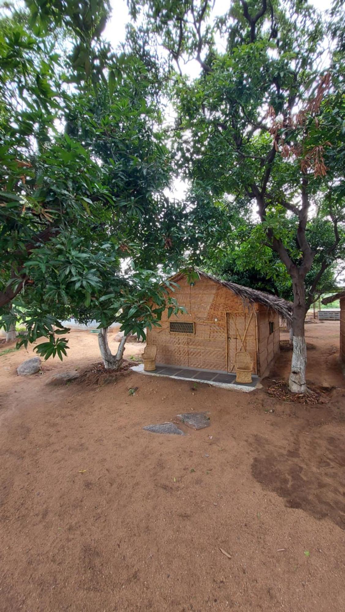 Sunrise Guest House & Restaurant Hampi Kamer foto