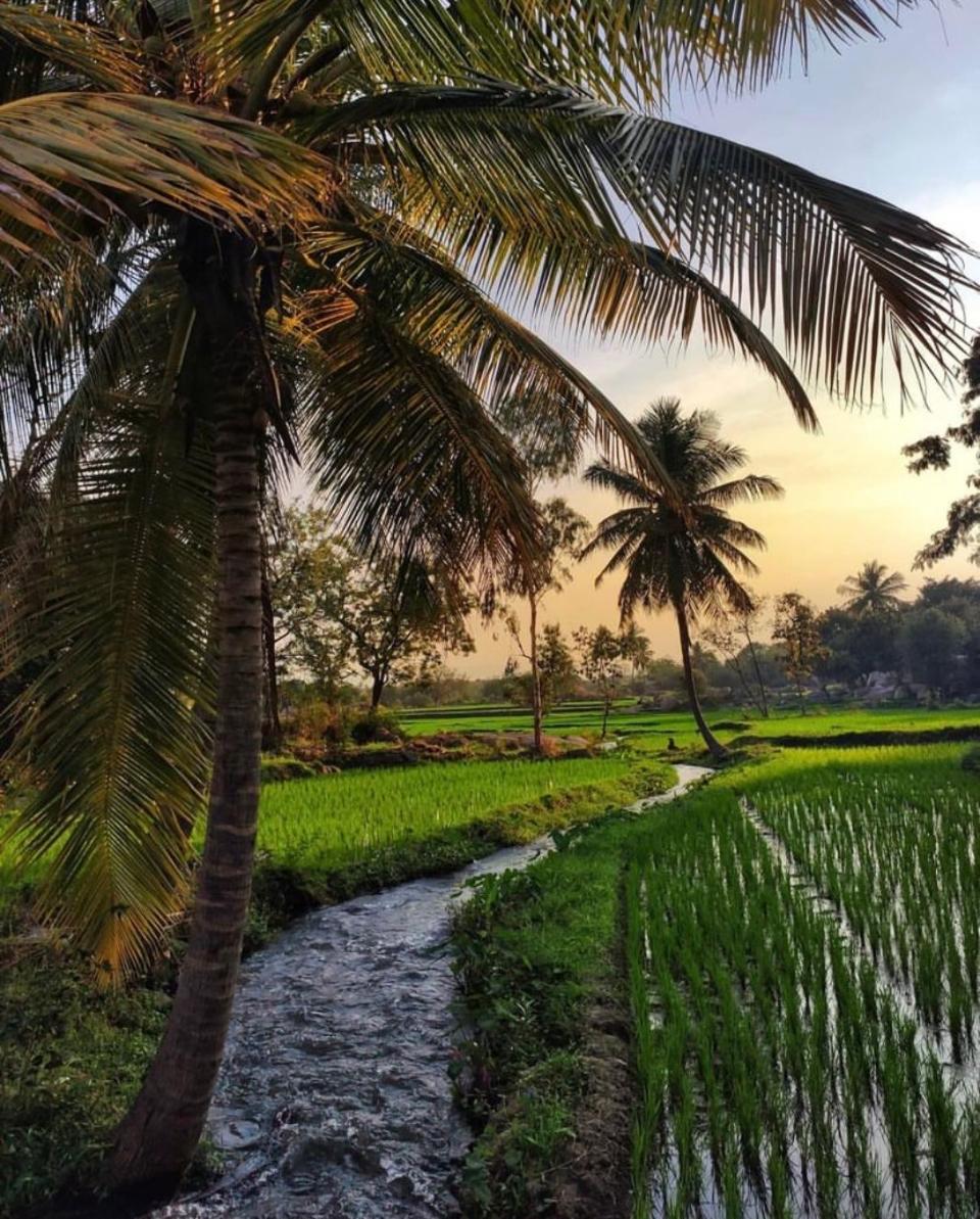 Sunrise Guest House & Restaurant Hampi Buitenkant foto