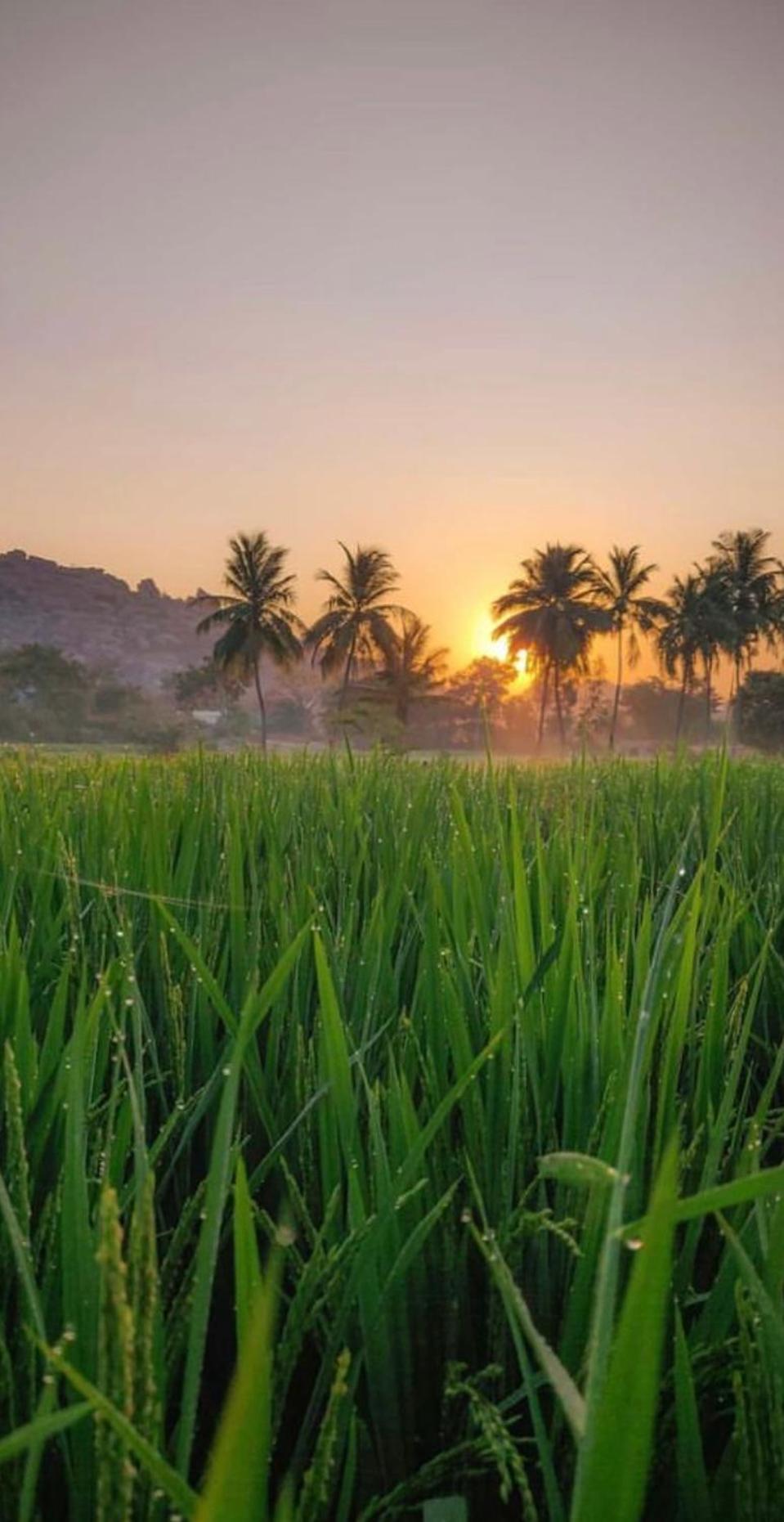 Sunrise Guest House & Restaurant Hampi Buitenkant foto
