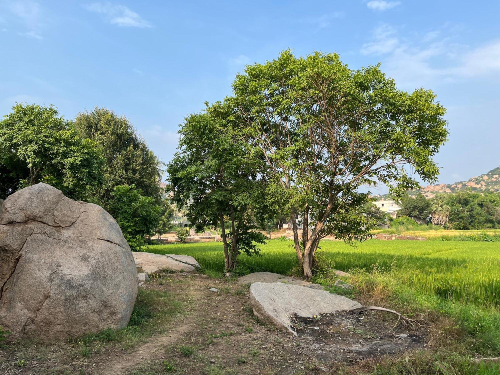 Sunrise Guest House & Restaurant Hampi Buitenkant foto
