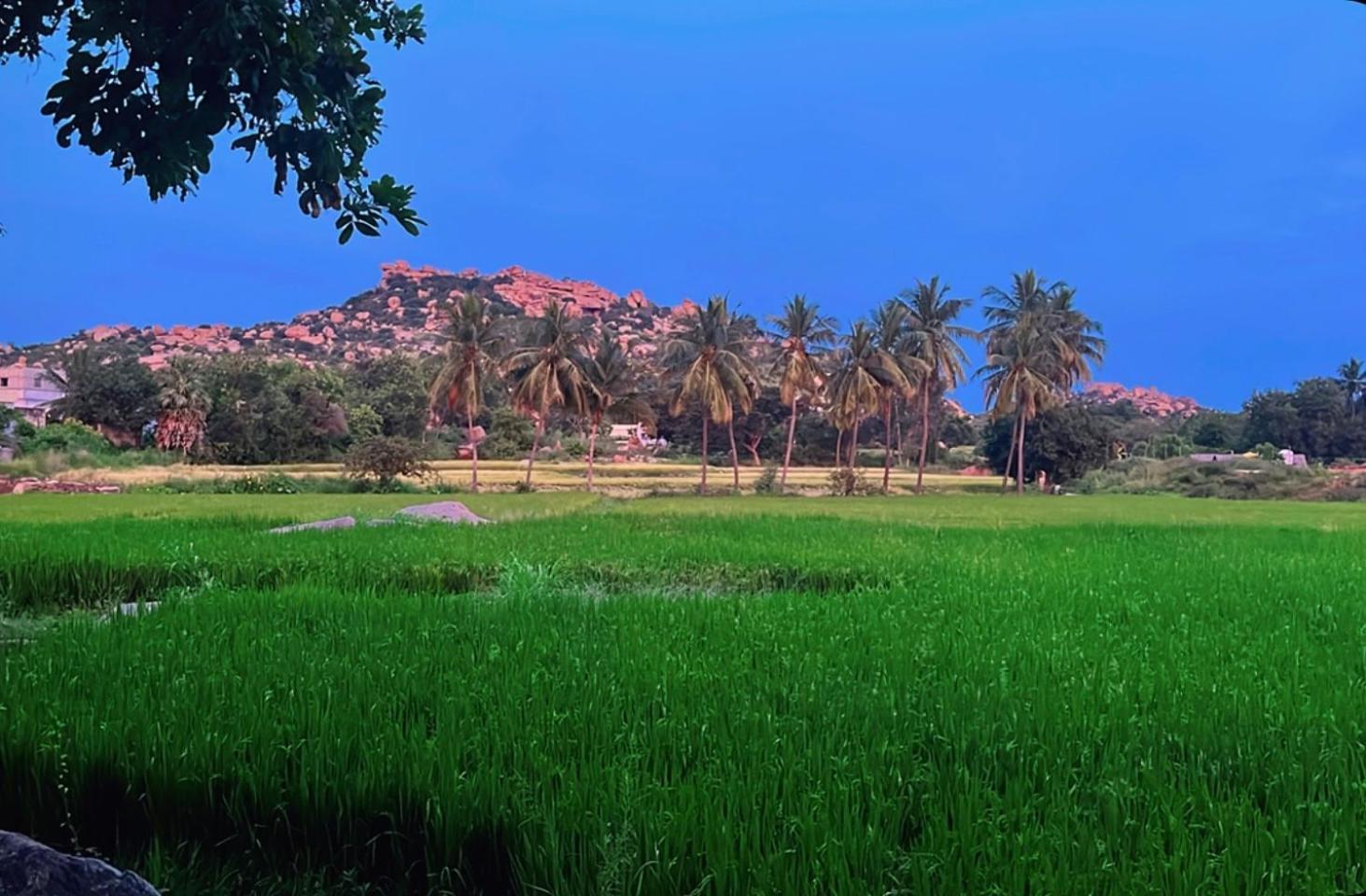 Sunrise Guest House & Restaurant Hampi Buitenkant foto