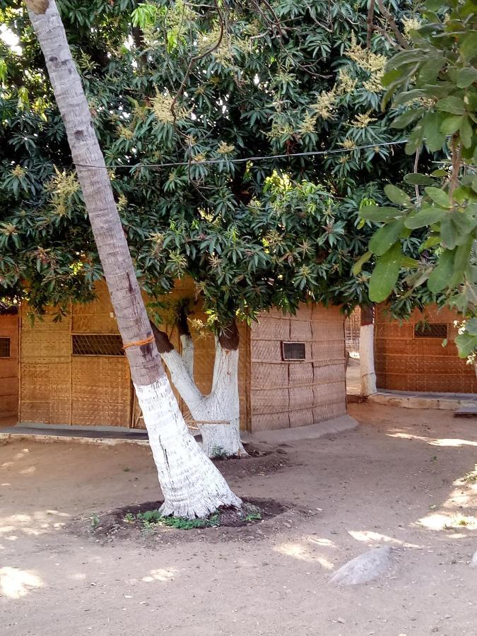 Sunrise Guest House & Restaurant Hampi Buitenkant foto
